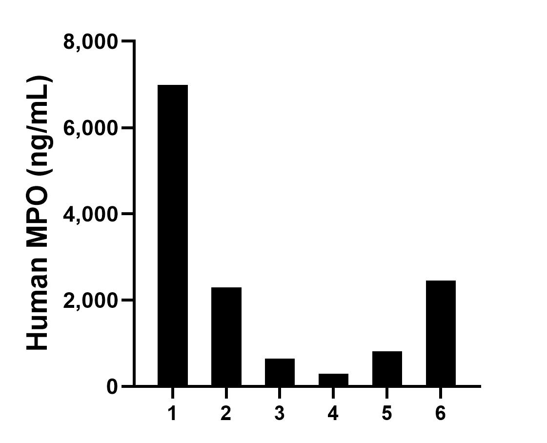 Sample test of MP00321-2